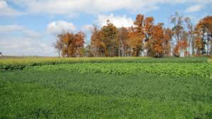 · in organic farming method, same crop is not located in the farm, which encourages the. Organic Pest Management Sare