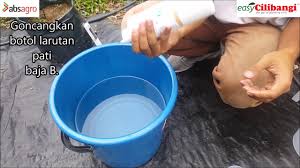 Kali ini saya ingin bercerita sedikit pengalaman saya tentang cara menambah atau menggantiram pada laptop. Lihat Cara Bancuh Baja Ab Tanpa Ec Meter Blog Cilibangi