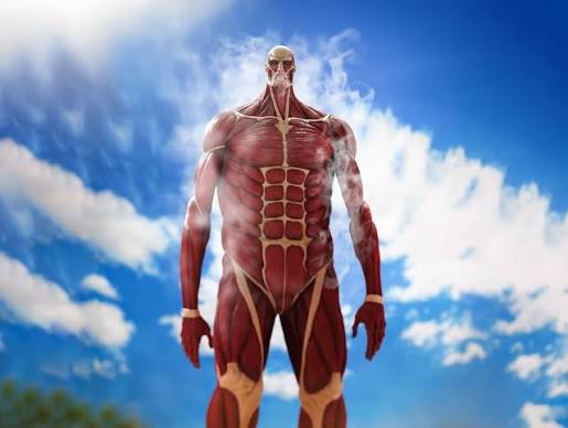 Attack on Titan Mega Sofvi MS021 Colossal Titan Figure
