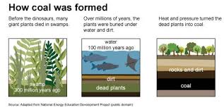 Three Images Showing How Coal Was Formed The First Image Is Of A Swamp 300 Million Years Ago Before The Din Energy Kids Energy Conservation Greenhouse Gases