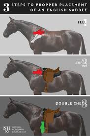 Epingle Sur Cheval