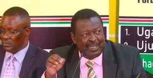 Maybe you would like to learn more about one of these? Mudavadi Why I Oppose Creation Of Powerful Pm In Bbi