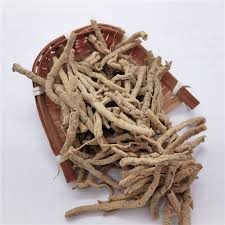 Image result for Polygala schinziana