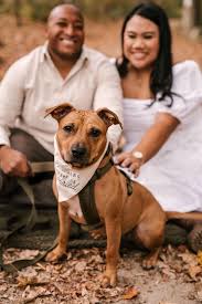 Friends of Wag On Inn Rescue