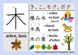 Japonais Kanji 日本語・漢字: Kanji – 木（き、こ、モク、ボク  arbre, bois）