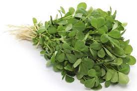 How to apply fenugreek paste on your. Fenugreek Cultivation Information Guide Asia Farming