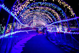Bentleyville Tour Of Lights And Ice Skating At Bayfront Park Tours Lights Holiday Travel