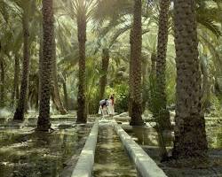 Image de L'Oasis d'Al Ain
