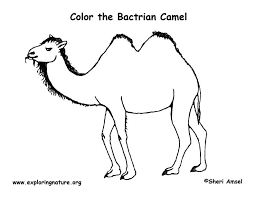 You can search several different ways, depending on what information you have available to enter in the site's search bar. Camel Bactrian Coloring Page