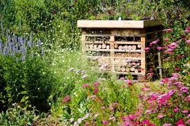 We did not find results for: Deinen Garten Gunstig Gestalten Wildes Gartenherz
