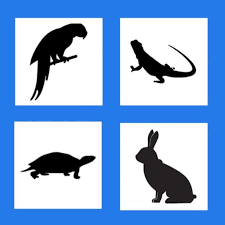 Avian and exotics center of nashville is a full service veterinary facility promoting the health and wellness of all exotic species of birds, mammals, amphibians, reptiles, and fish. Avian And Exotic Animal Care Home Facebook