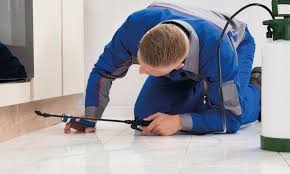 Search the pest exterminators near me directory. Importance Of Professional Pest Control Services