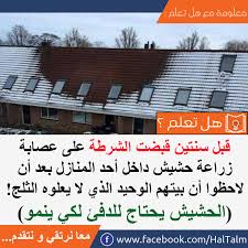Pin By مجلة عالم حواء On هل تعلم Words Did You Know Facebook Sign Up