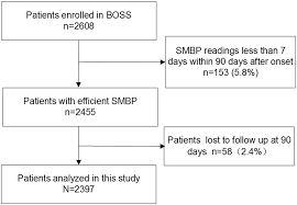 Patient Flow Chart Boss Indicates Blood Pressure And