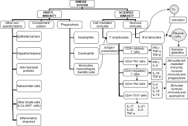 Check spelling or type a new query. Frontiers Effects Of Citrus Fruit Juices And Their Bioactive Components On Inflammation And Immunity A Narrative Review Immunology