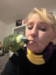 Idag bestämde sig Kenta…..Blommekäringen är OKEJ!!! Ingen kunde vara  stoltare, gladare än mej!!!! En rätt aggressiv goja…..valde ändå…..att  gilla….mej!!!….och det är STORT!! Det tar tid att bli accepterad…..ibland  blir man det aldrig!