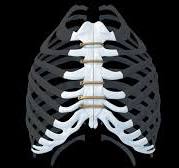 Sternal ZIPFIX™ System | Products| DePuy Synthes