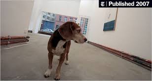 After you light all the torches, a treasure chest and the third stone tablet will appear. A New Art District S Raw Charm In Brunnenstrasse Berlin Travel The New York Times