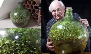 Opening the terrarium breaks the water cycle by releasing the water vapor. The Sealed Garden That Was Only Watered Once In 53 Years Biologic Performance