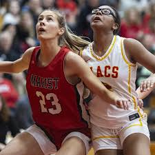 Basketball and local scores for south, west, north suburbs