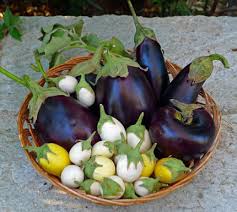 But most people in austria call it melanzani (the italian word for it). Eggplant S Myriad Disguises Aglaia S Table On Kea Cyclades
