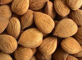 Dikenal secara ilmiah sebagai prunus armeniaca, aprikot dikatakan berasal dari berbagai penjuru asia, himalaya, cina utara dan armenia, juga. Cara Makan Biji Aprikot Pahit Apricots Kernel Seed