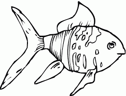 Download and print free fish bowl coloring pages to keep little hands occupied at home; Free Printable Goldfish Coloring Pages For Kids