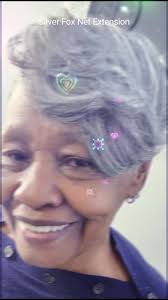 Silver Fox Viola Hair Extensions