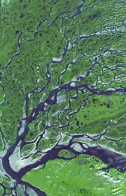 Find the perfect river delta stock photos and editorial news pictures from getty images. Lena River Delta Russia