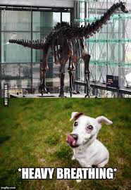 Of the dinosaurs that we know about now, this is the absolute longest. I Present You The Biggest Dinosaur Seismosaurus 26 Ft Tall 9gag