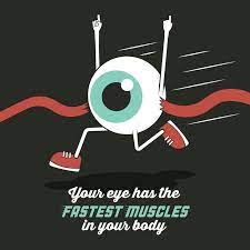Pin By Nicola Benadie On Eye Health Eye Facts Optician Marketing Optometry Humor