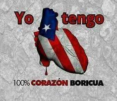 260 Herencia “Boricua" ideas