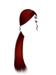 Wigs Shoptoribandz Wigs Cute Ponytails Straight Hairstyles