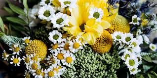 We did not find results for: Forever Green Florists Bournemouth Order Online Or 01202 532664