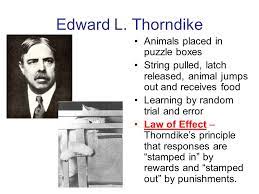Thorndike puzzle box experiment video. Edward L Thorndike Animals Placed In Puzzle Boxes Ppt Video Online Download