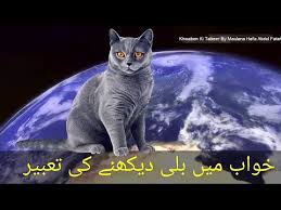 Cat dream meaning black cat in dream and dreaming of cats and in this video we you islamic dream. Cat Dream Meaning Black Cat In Dream Dreaming Of Cats Khwab Mein Kali Billi Dekhna Ki Tabeer Youtube
