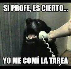 Memes Graciosos La Tarea Mordida Memes Chistosisimos Memes Graciosos Memes Divertidos