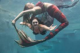 Последние твиты от real mermaid gossip (@realmermaidgoss). Mermaiding It S A Thing And It S Coming To A Pool Near You The Washington Post
