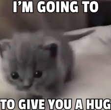 Check spelling or type a new query. Get Ready For Some Of My Love And Affection R Wholesomememes Wholesome Memes Know Your Meme