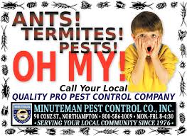 Termites love to munch on dry wood and your home is no exception. Quality Pro Pest Control Company Minuteman Pest Control Co Inc Northampton Ma