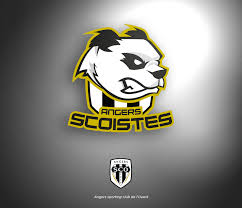 Jun 30, 2021 · sporting chance of wolves exit for ruben vinagre by joe edwards wolves published: Angers Sporting Club De L Ouest Vehicle Logos Porsche Logo Sports Clubs