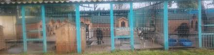 Tarsus Hayvan Barinagi Kopek Bakim Evi Ve Rehabilitasyon Merkezi