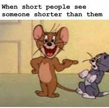 tom jerry memes to celebrate 80 years of cat vs mouse crazy funny memes jerry memes really funny memes