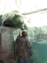 Favorite images of camels & dromedaries (40 items) list by kathy. Bears Creatures Trees Water