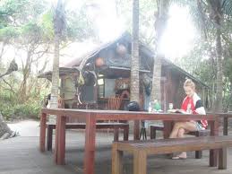Port douglas tourism | port douglas guide. Herbie S Beach Shack Picture Of Thala Beach Nature Reserve Oak Beach Tripadvisor