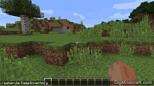 Gamerules, commands, mobgriefing, fireticks, keep inventory, server properties, minecraft server; How To Use The Gamerule Command In Minecraft