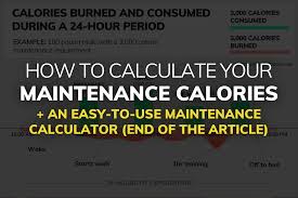 What Are Your Maintenance Calories Maintenance Calorie