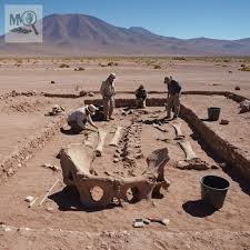 Atacama giant discovery in Chile desert