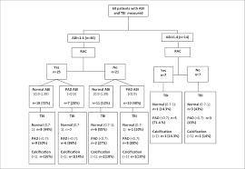 flow chart of patients of the study abbreviations abi