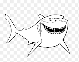 Check spelling or type a new query. Bruce Darla Coloring Book Drawing Finding Nemo Bruce Nemo Angle Marine Mammal Png Pngegg
